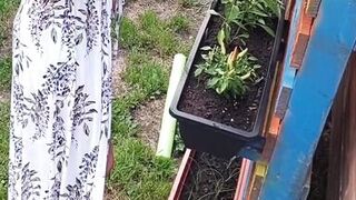 Gardening without t-shirt!