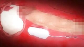 Koumi Jima Shuu 7 De Umeru Mesu-tachi Sex Scenes Demosaic Hentai