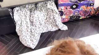 Cum Slut MILF Loves Sucking A Big Cock Before Getting Her Pussy Pounded - Julia North - 3 image