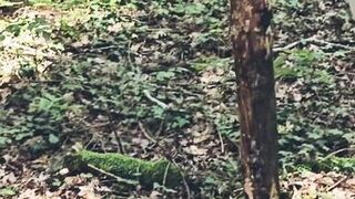 Mature Milf Looking for a stranger in the woods to suck and jerk him off thoroughly until he cums in my mouth