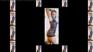 Snapshot slides how of bot