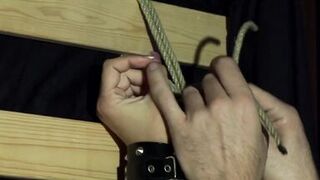 Rachel Evens, the Chick to Make You Go Wild - 7 image