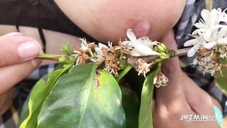 Deeptroath in coffee plantation