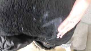 Milfycalla- Prev-a Lot of Cum on My Old Black Fur Downjacket 177