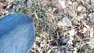 A little sunshine in the forest - 1 image