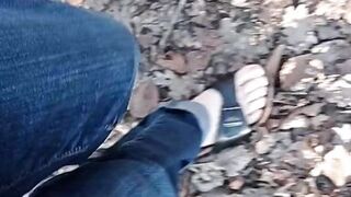 A little sunshine in the forest - 5 image