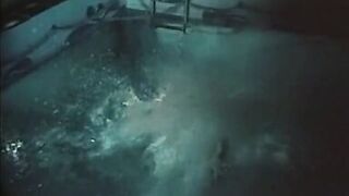 Rich lady gets fucked by her black servants - vintage