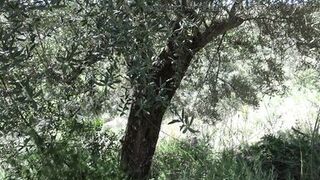 my turkish stepmother lets american stepson cum on her hairy pussy