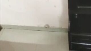 Indian desi model live streaming