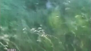 Wrinkled sex, part 9