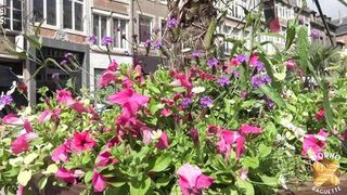 Alice, hot milf, goes wild with two dicks