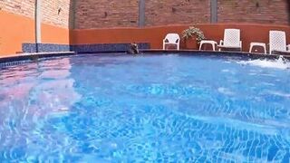 Kinky Alevalsex & Dweybigass crave rough sex in the pool for their creamy pussy - 3 image