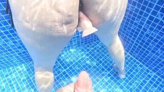 Kinky Alevalsex & Dweybigass crave rough sex in the pool for their creamy pussy - 4 image