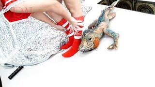 Girl with sexy school uniform is dancing without panties. Striptease with big iguana toy. c3