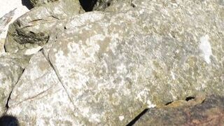 He pulls out his big cock in front of this stranger. How will she react? It is really risky!