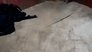 For the first time I showed my boobs and pussy in front of camera