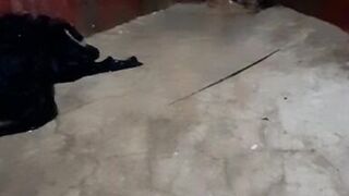 For the first time I showed my boobs and pussy in front of camera