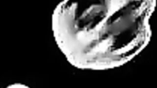 Lick and adore my leather ASS - 15 image