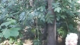 Carmen Mushrooms of the World