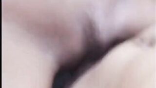 Carmen Mushrooms of the World