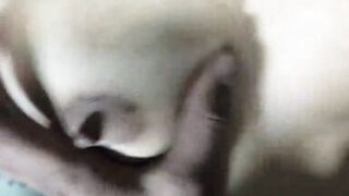 Indian step girl & big step boy friend hardcore indian sex