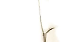 Hungarian Nati from Tolna szet dugva