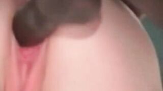 Cuckold Archive BBC bull with sissys inexperienced wife fucking