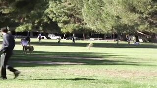 We pick up your hot step mom and fuck her - (India Summer) - 2 image