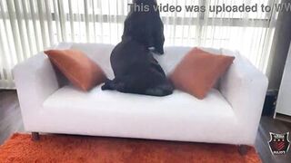 Slutty Hazel Moore Gets Dicked By Thick Cock Rome Major!