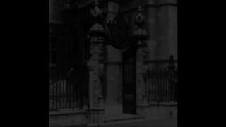 Vintage Bisexual Grannies