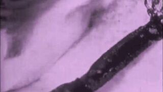 Vintage Granny Fanny