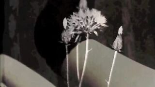 Vintage Granny Fanny