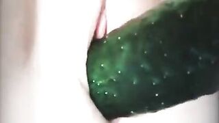 My wife fucks herself with a cucumber.