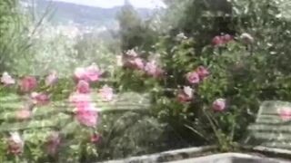 Blonde slut on a lounge chair sucks a cock and fucks - 1 image