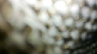 Closeup hard fucking milf, big moaning and slapping her face