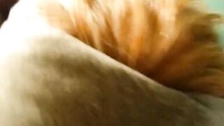 Milf stepmom gives better cock sucking than her daughter