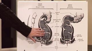 EDUCATIONAL ANAL SEX GAMES