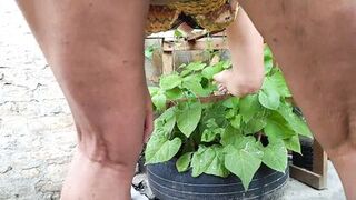 A little sight to see - 2 image