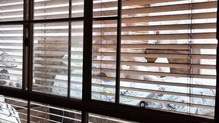 Neighbours watching us fuck - 2 image