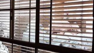 Neighbours watching us fuck