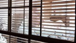 Neighbours watching us fuck