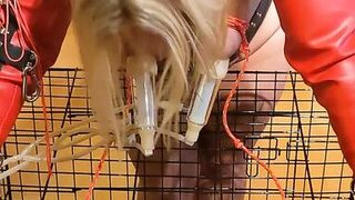 Hucow with bound boobs - 1 image