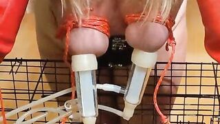 Hucow with bound boobs