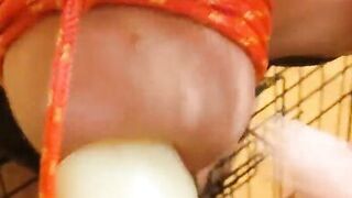 Hucow with bound boobs